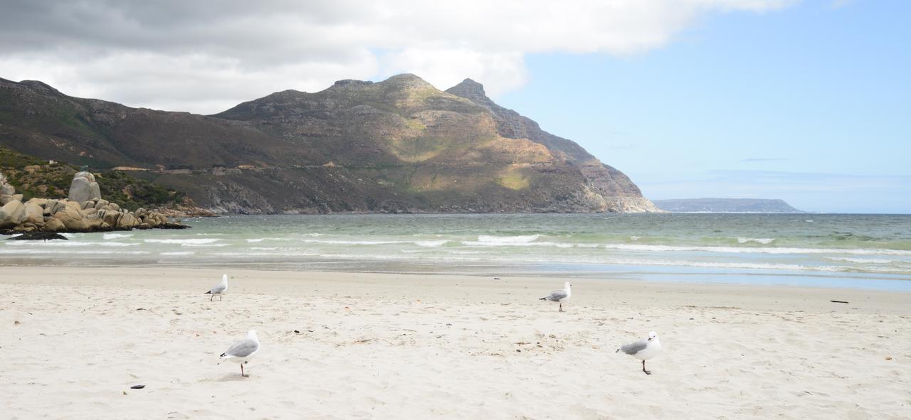 Dk Villas 1 Harbour View Hout Bay Luaran gambar